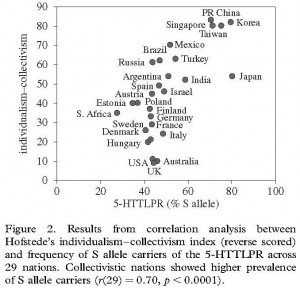 Results from correlation analysis between Hofstede's individualism-collectivism index & frequency of S-allele carriers