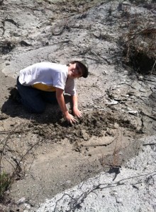 Bailey digging.