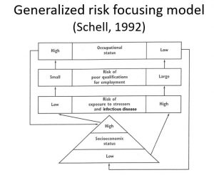 risk focusing model